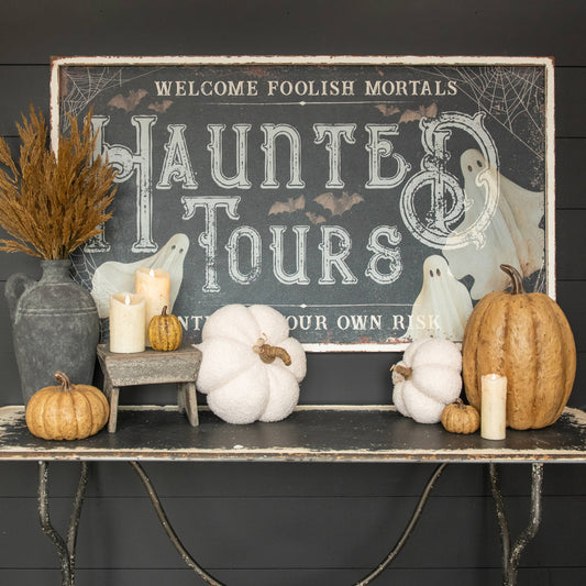 48" HAUNTED TOURS SIGN